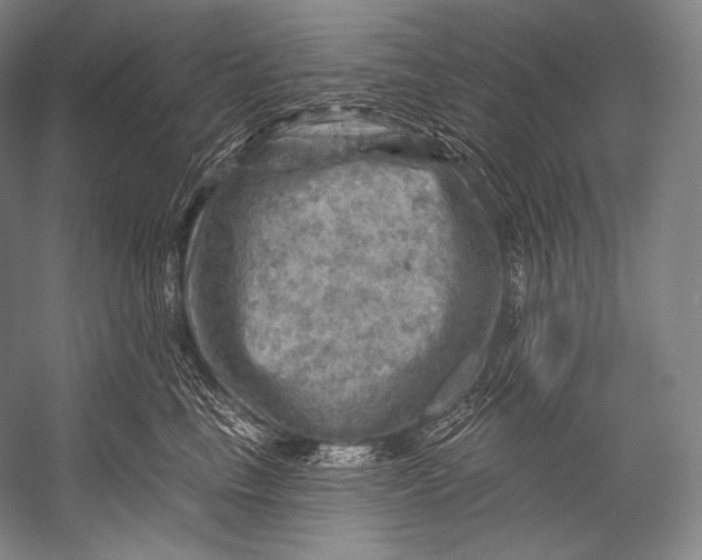 X0000052570665200507221503