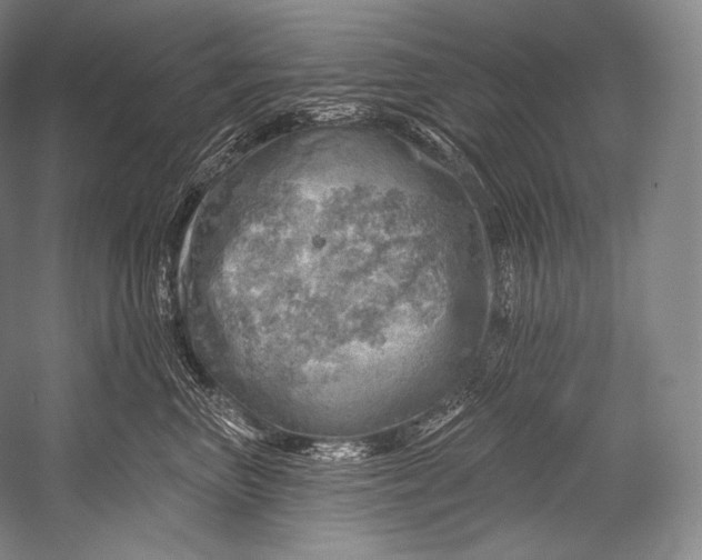 X0000052570667200507221503