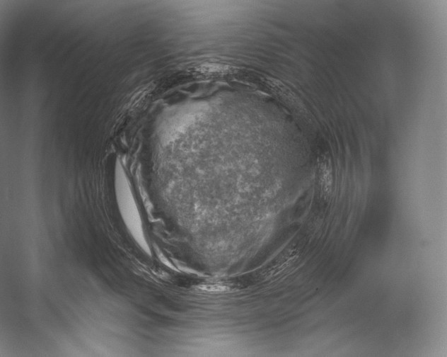 X0000052570668200507221503