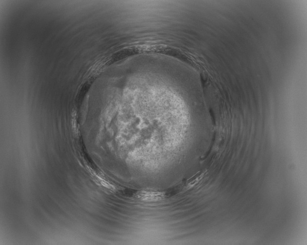 X0000052570670200507221503