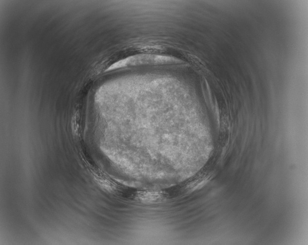 X0000052570671200507221503