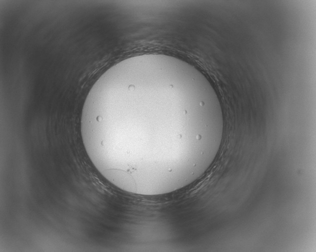 X0000052570672200507221503