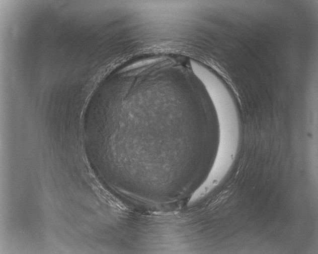 X0000052570673200507221503