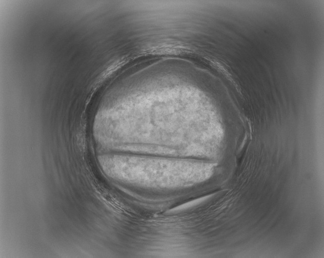 X0000052570675200507221503