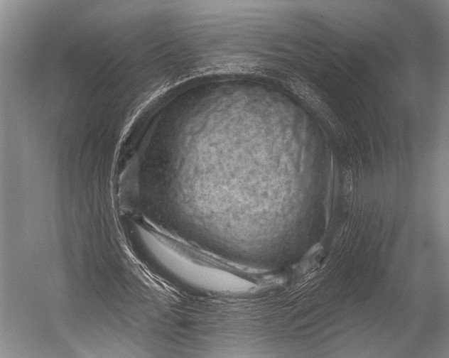 X0000052570676200507221503