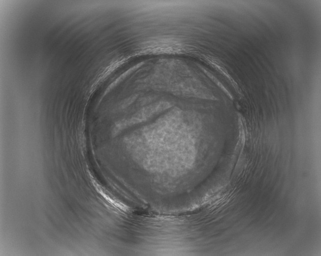 X0000052570677200507221503