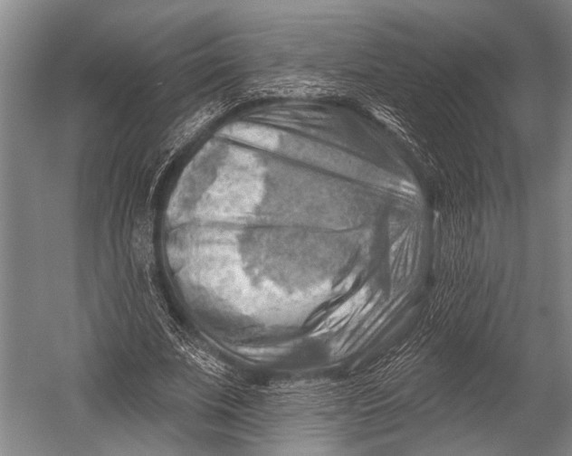 X0000052570679200507221503