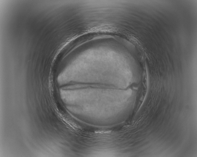 X0000052570680200507221502