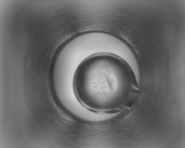 X0000052570681200507221502