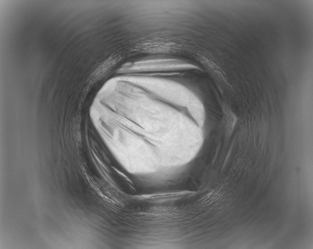 X0000052570682200507221502