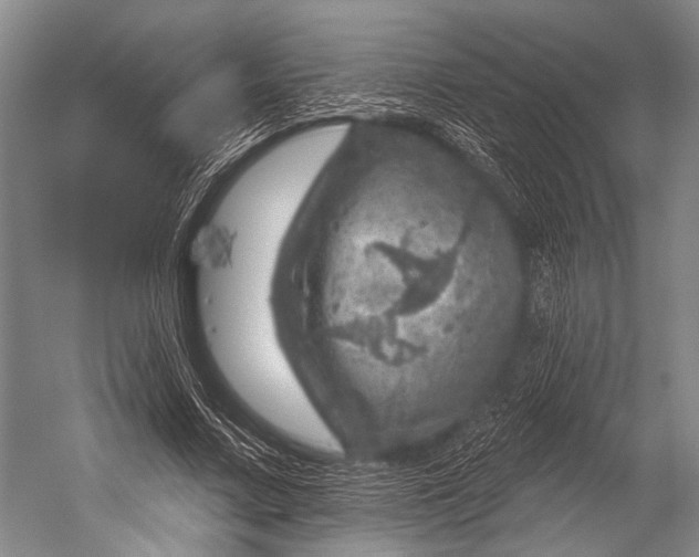 X0000052570683200507221502