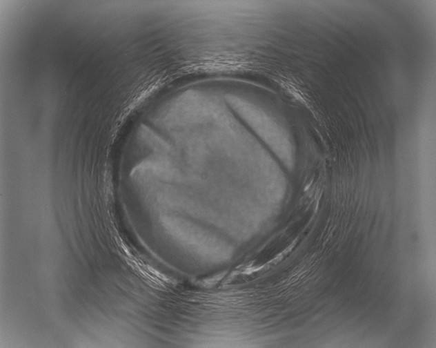 X0000052570684200507221502