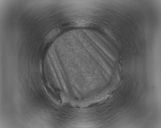 X0000052570685200507221502