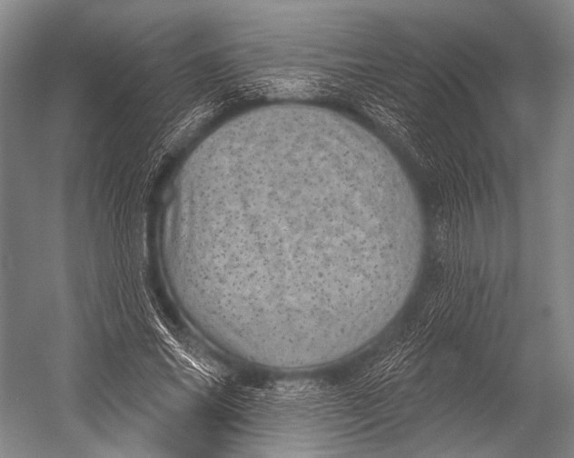 X0000052570686200507221502