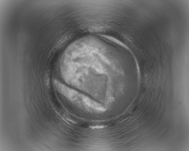 X0000052570687200507221502