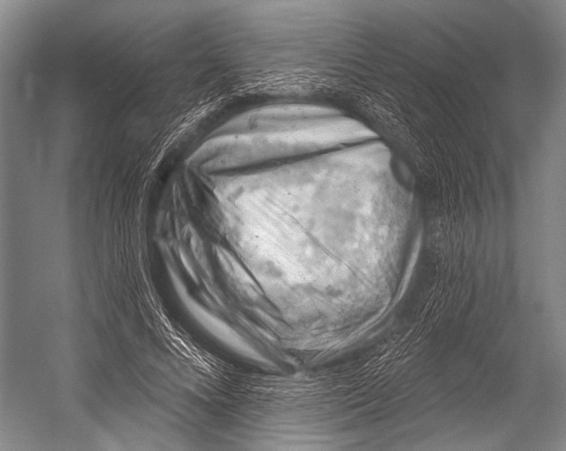 X0000052570688200507221502