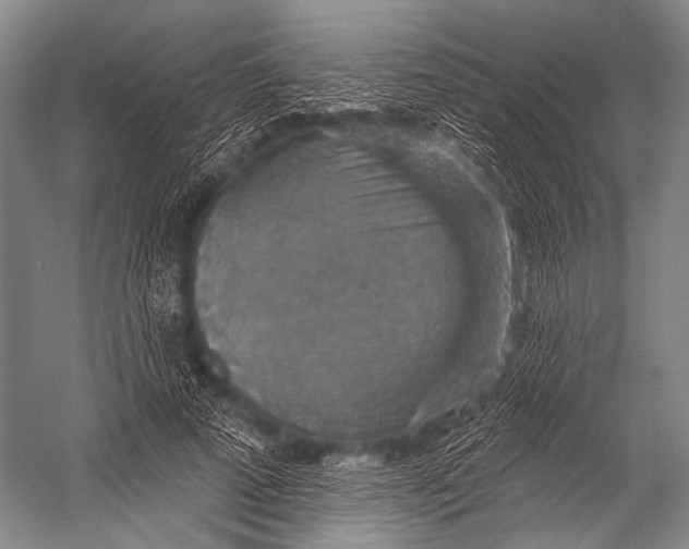 X0000052570689200507221502