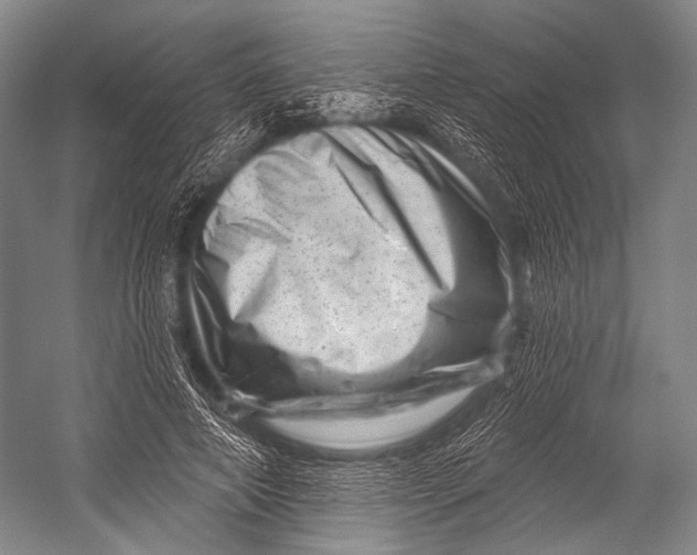 X0000052570690200507221502