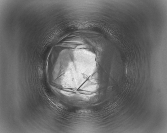 X0000052570691200507221502