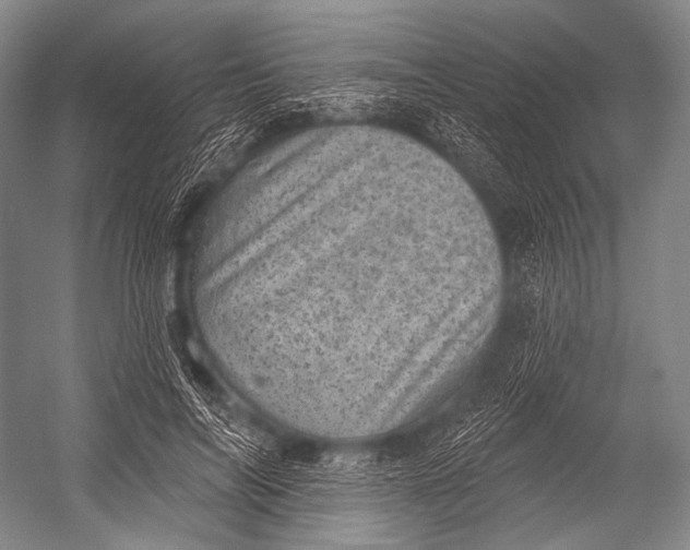 X0000052570694200507221502