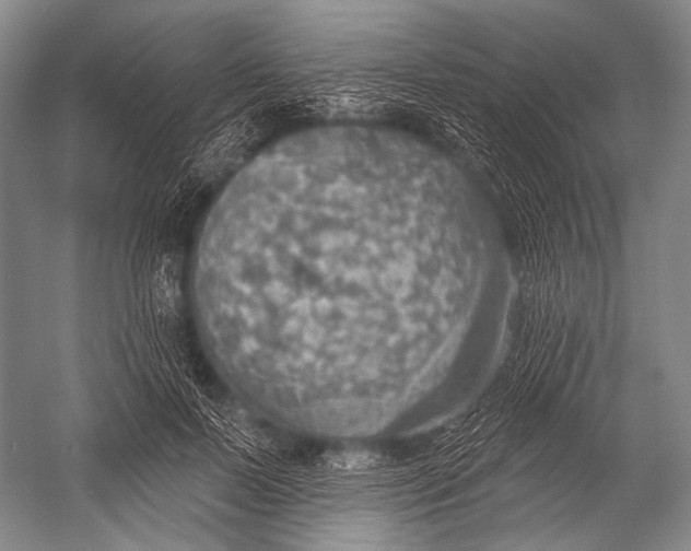 X0000052570695200507221502