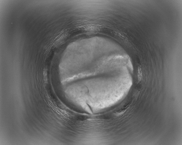 X0000052570696200507221502