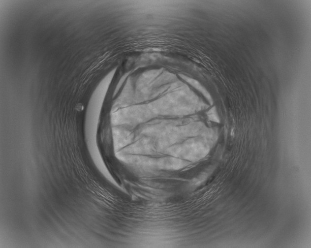 X0000052570697200507221502