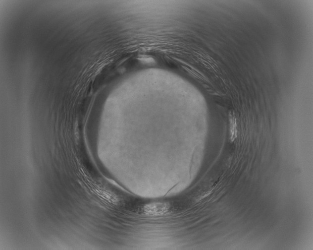 X0000052570700200507221502