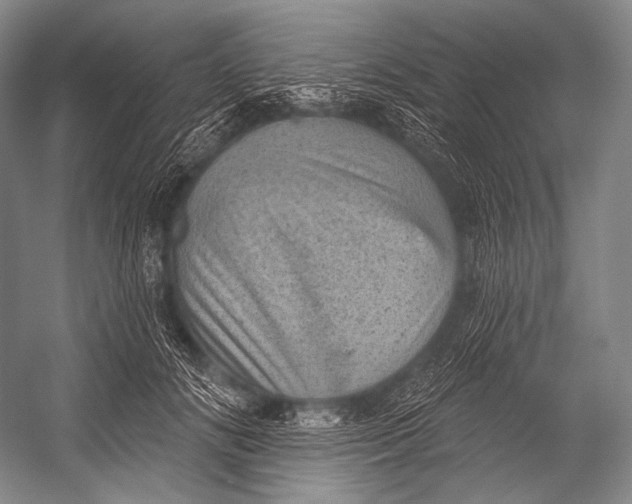 X0000052570702200507221502