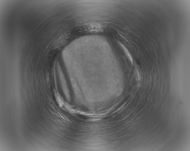 X0000052570704200507221502