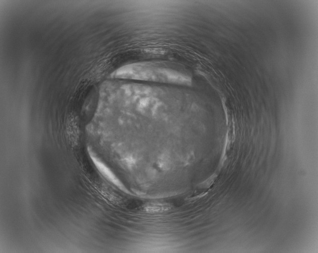 X0000052570707200507221502