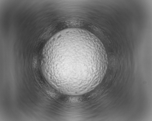 X0000052570709200507221502