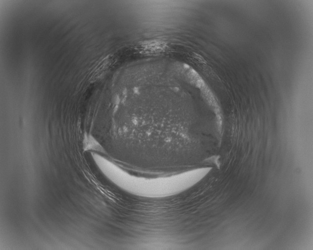 X0000052570711200507221502