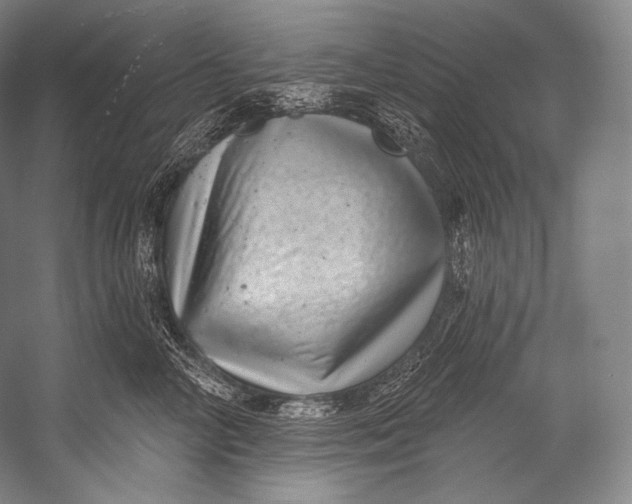 X0000052570714200507221502