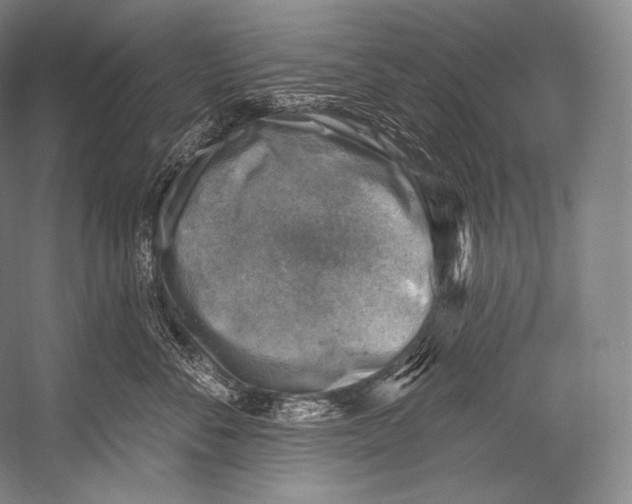 X0000052570716200507221502