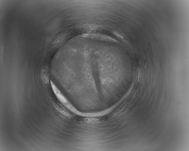 X0000052570719200507221502