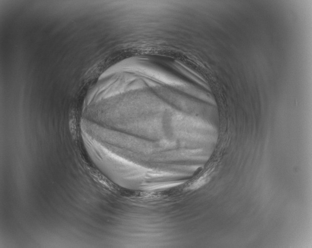 X0000052570720200507221502