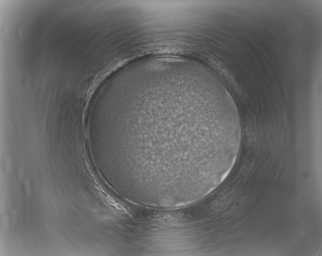 X0000052570721200507221501