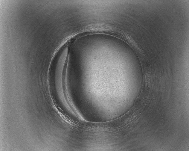 X0000052570722200507221501