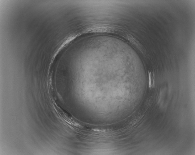 X0000052570723200507221501