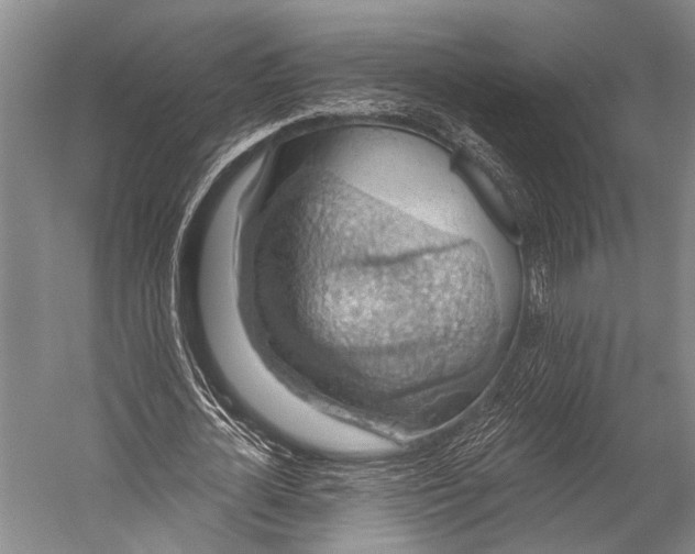 X0000052570724200507221501