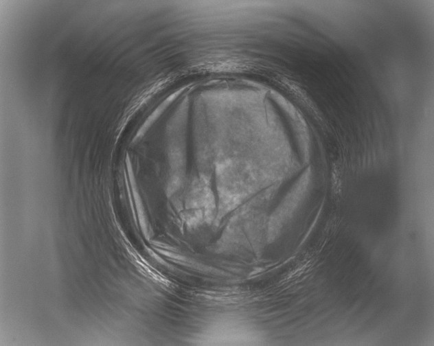 X0000052570725200507221501