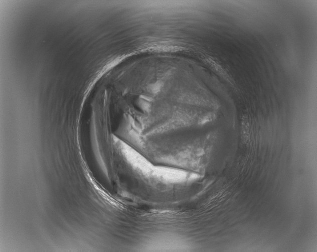 X0000052570726200507221501