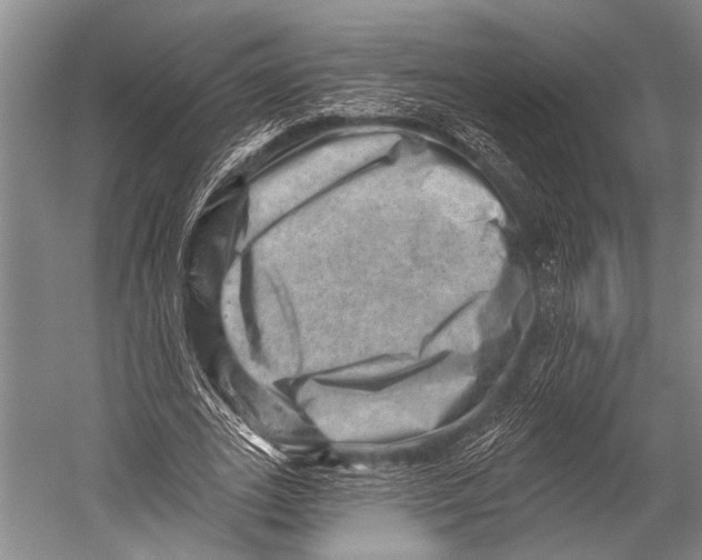 X0000052570727200507221501