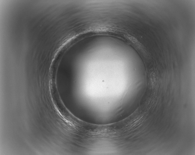 X0000052570728200507221501