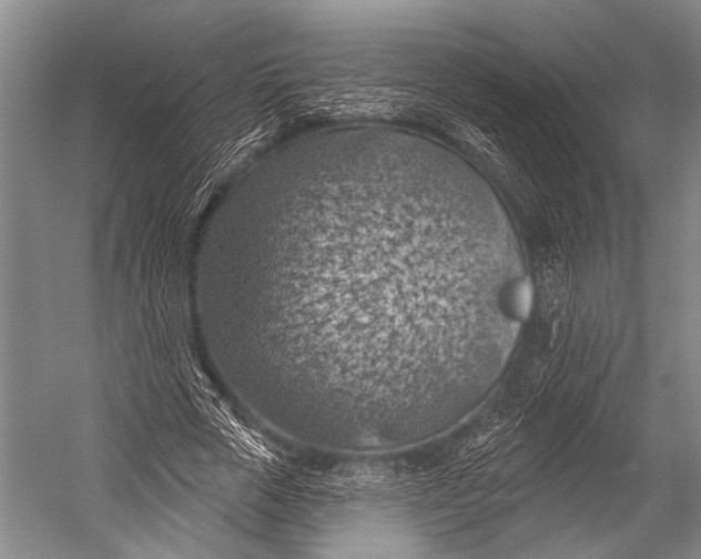 X0000052570729200507221501