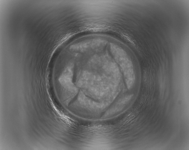 X0000052570730200507221501