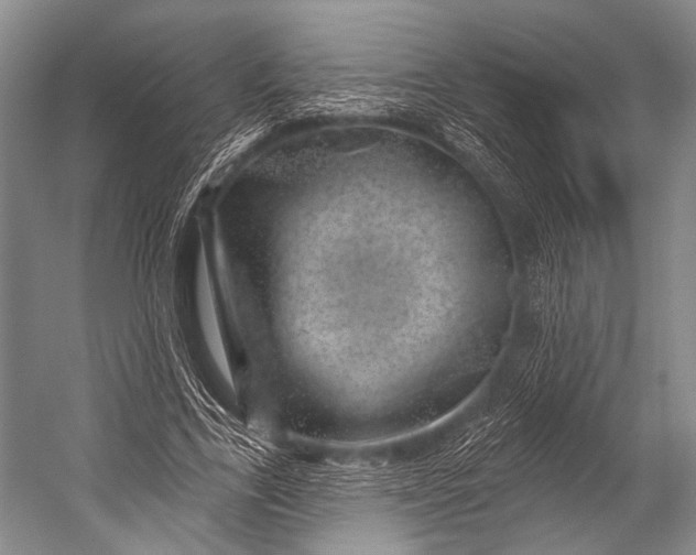 X0000052570731200507221501