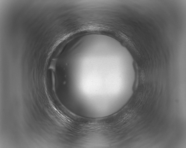 X0000052570732200507221501