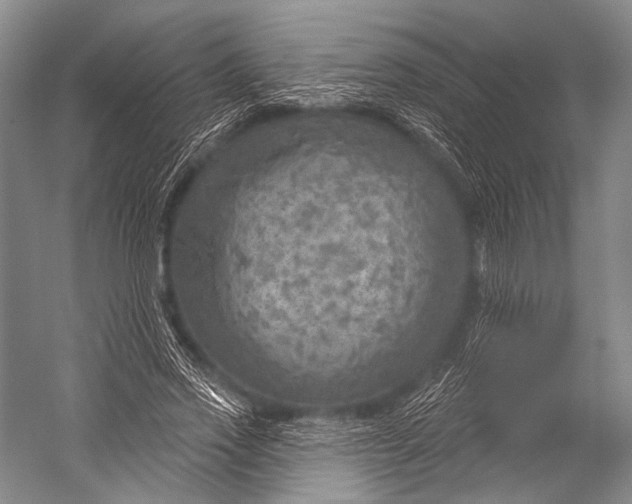 X0000052570733200507221501